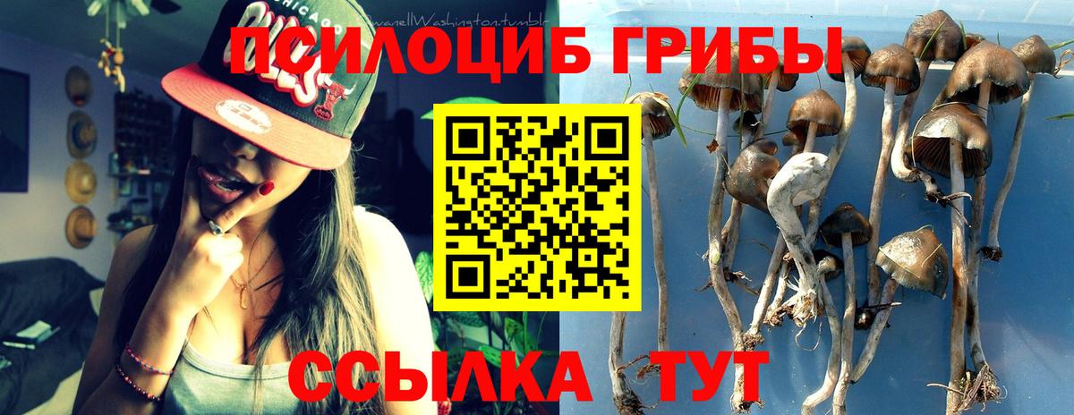 Галлюциногенные грибы мицелий  Вход с VPN  продажа наркотиков  Каменск-Уральский 